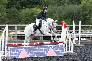 Class 6 - Fences not above 2'9